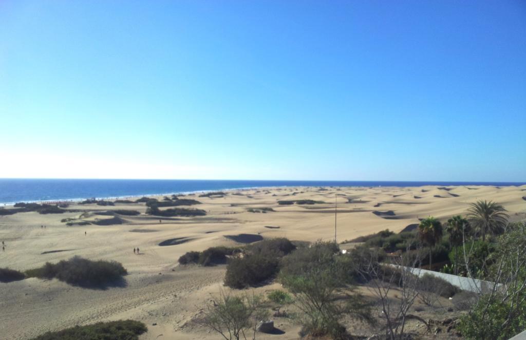 Alsol Patricio Lejlighed Playa del Inglés Værelse billede