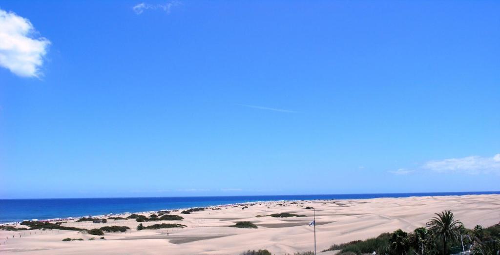 Alsol Patricio Lejlighed Playa del Inglés Eksteriør billede
